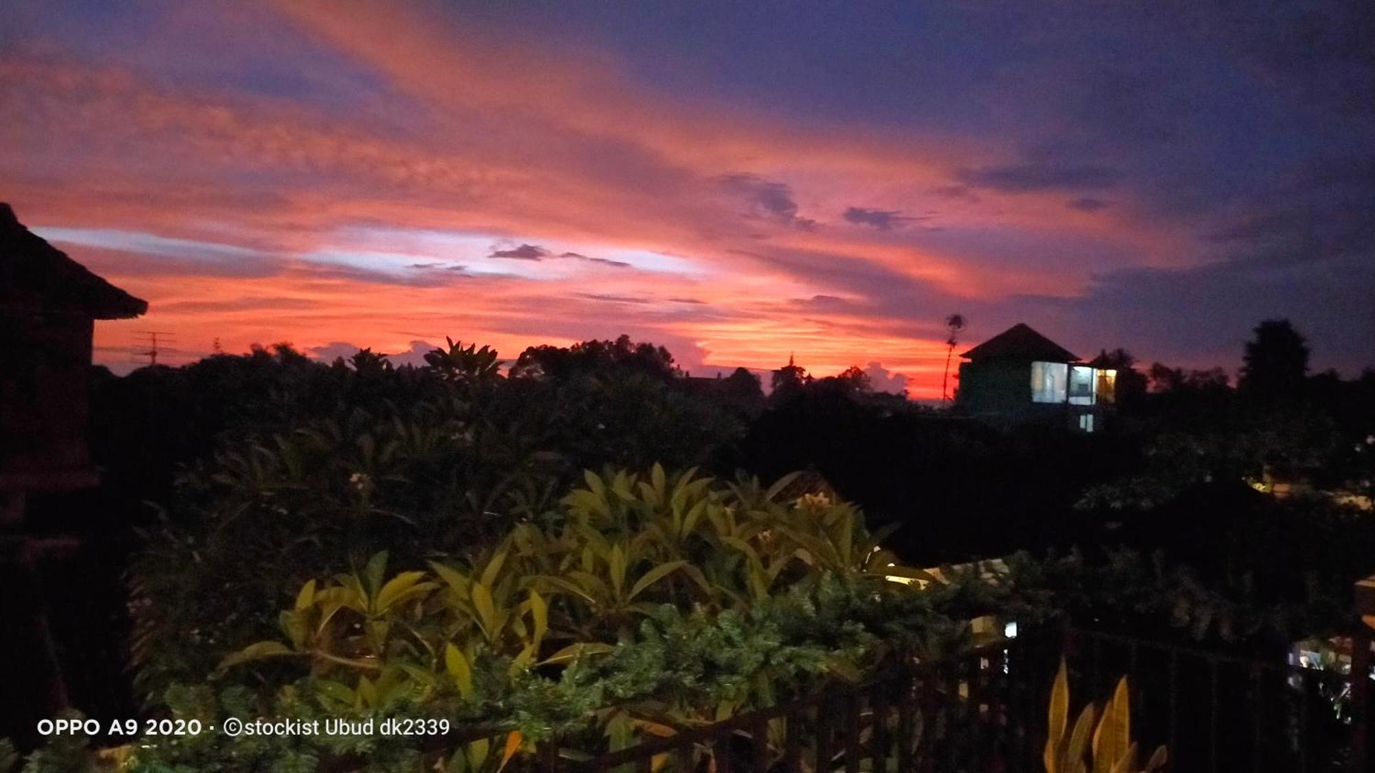 Danu House Ubud Екстер'єр фото