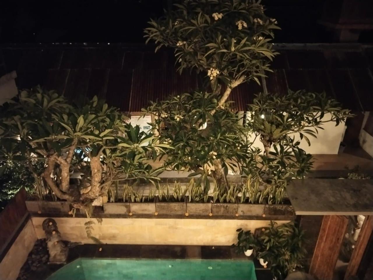 Danu House Ubud Номер фото